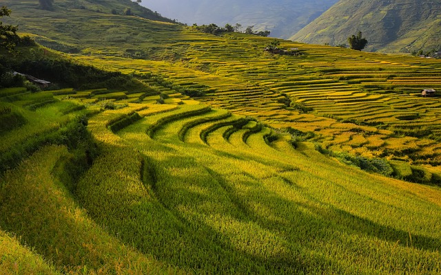 Itinéraires de voyage pour découvrir l'Asie du Sud-Est